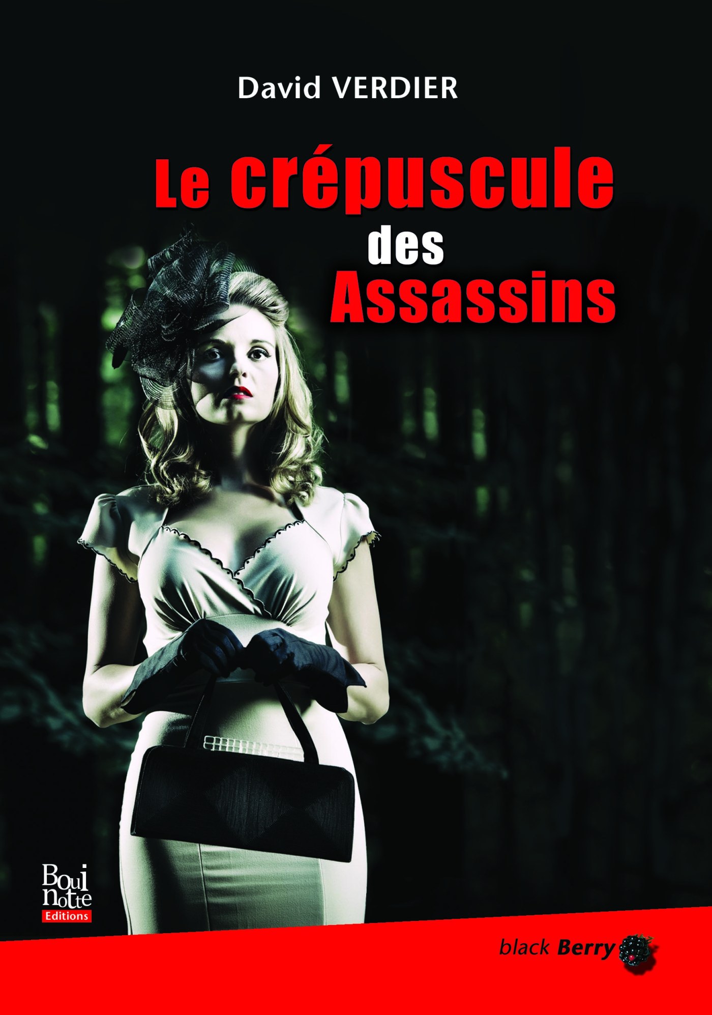 Le crépuscule des Assassins, David Verdier