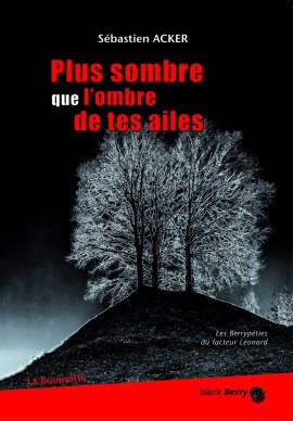 Plus sombre que l'ombre de tes ailes, Sébastien Acker (couverture)