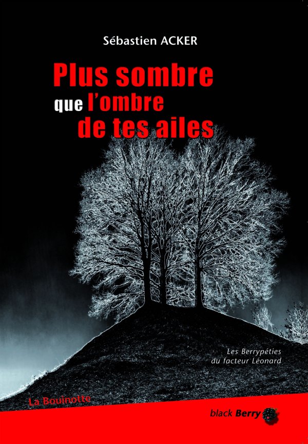 Plus sombre que l'ombre de tes ailes, Sébastien Acker (couverture)